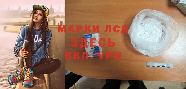 индика Заводоуковск