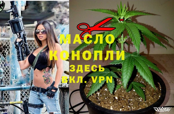 соль ск Зеленодольск