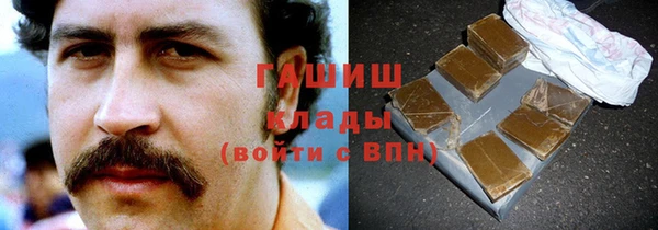 индика Заводоуковск