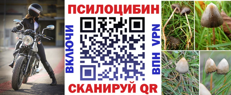 Купить где  Ивантеевка  Галлюциногенные грибы мицелий 